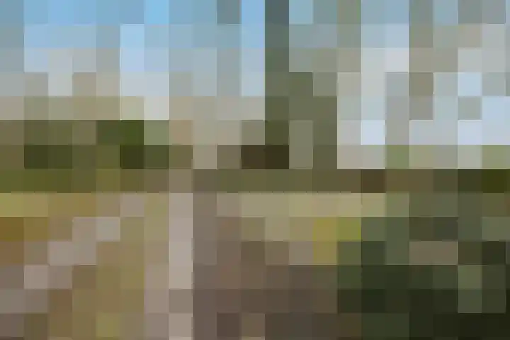 Molenweg 62 Bergharen thumbnail 82