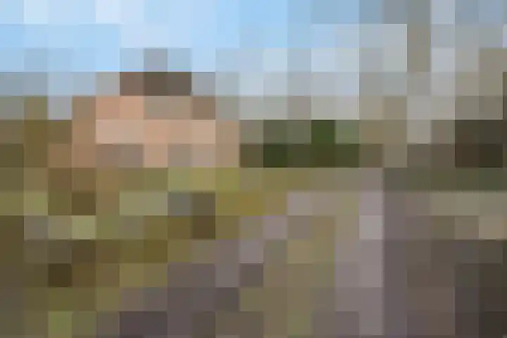 Molenweg 62 Bergharen thumbnail 83