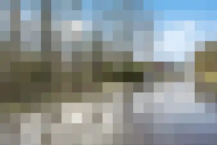 Molenweg 62 Bergharen thumbnail 86