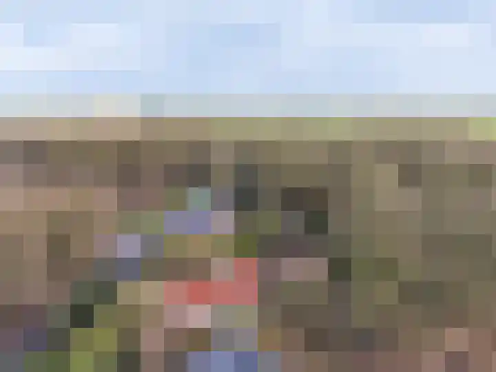 Molenweg 62 Bergharen thumbnail 87