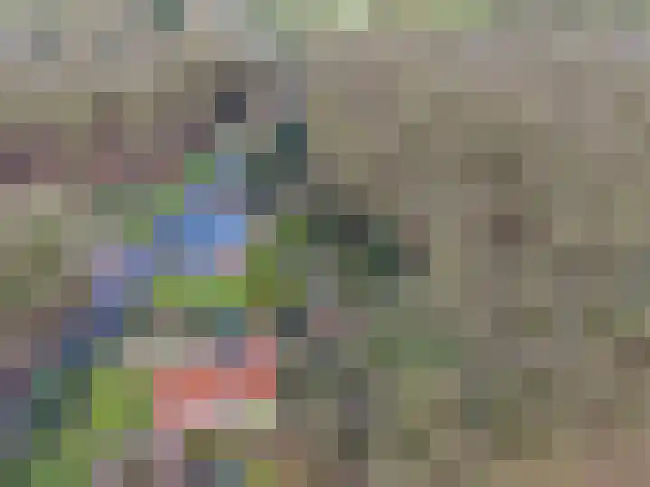 Molenweg 62 Bergharen thumbnail 88