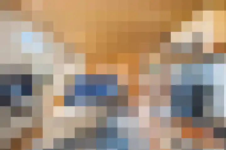 Molenweg 62 Bergharen thumbnail 9
