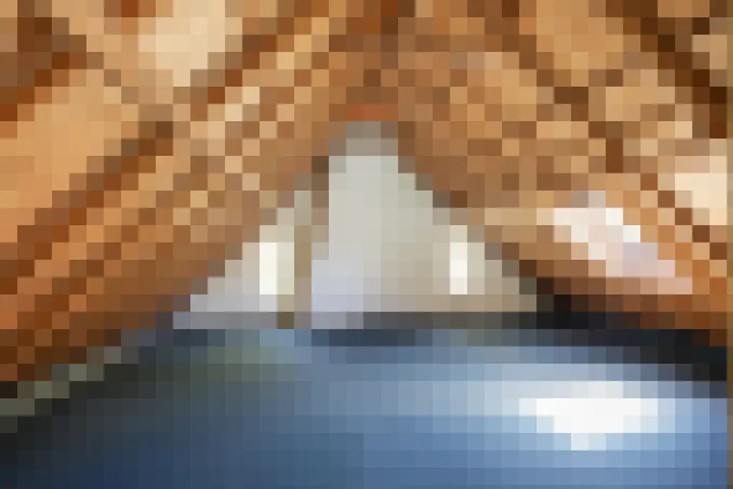 Molenweg 64 Niebert thumbnail 60