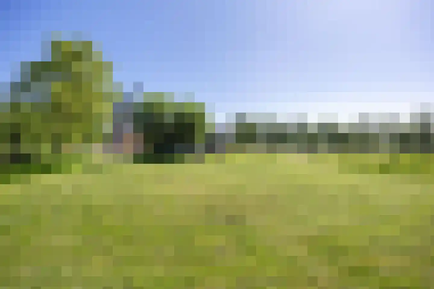 Molenweg 64 Niebert thumbnail 66