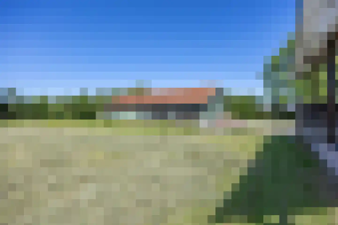 Molenweg 64 Niebert thumbnail 7