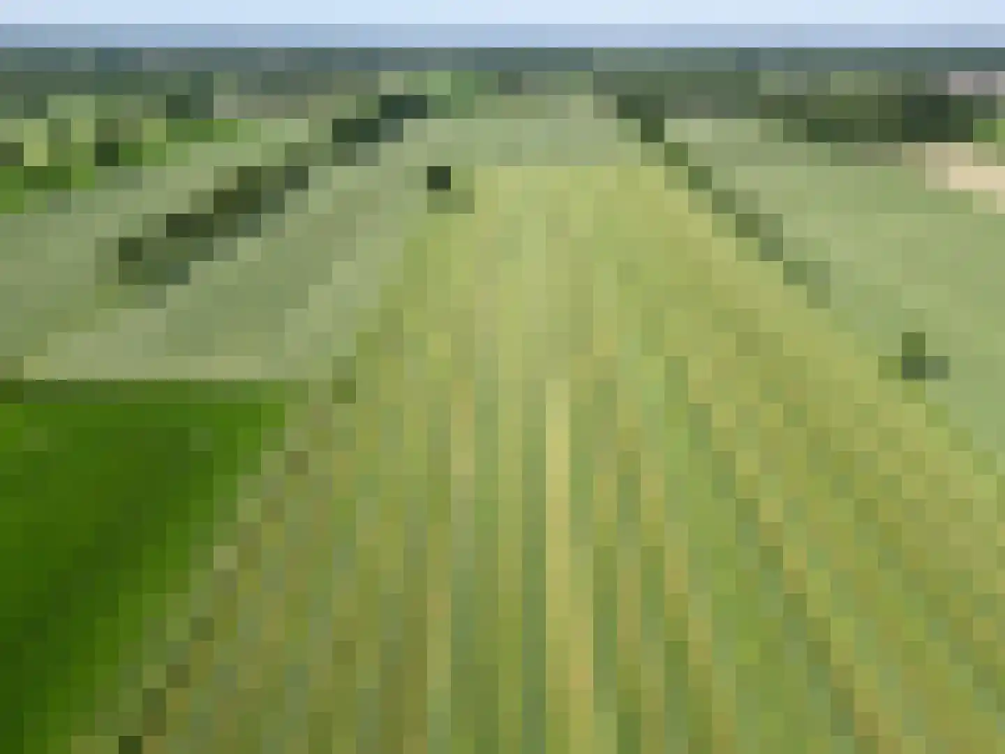 Molenweg 64 Niebert thumbnail 81