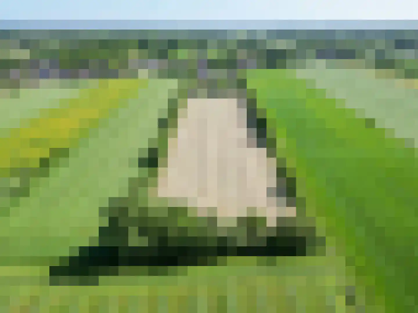 Molenweg 64 Niebert thumbnail 82