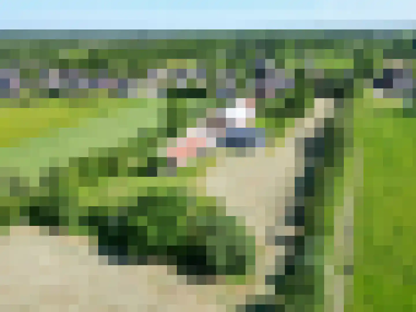 Molenweg 64 Niebert thumbnail 83