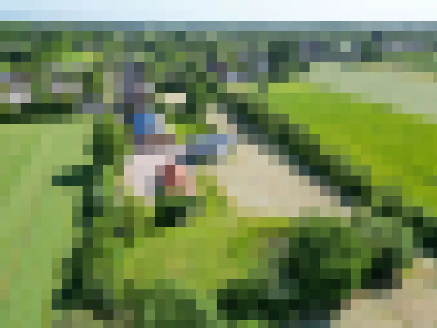 Molenweg 64 Niebert thumbnail 84