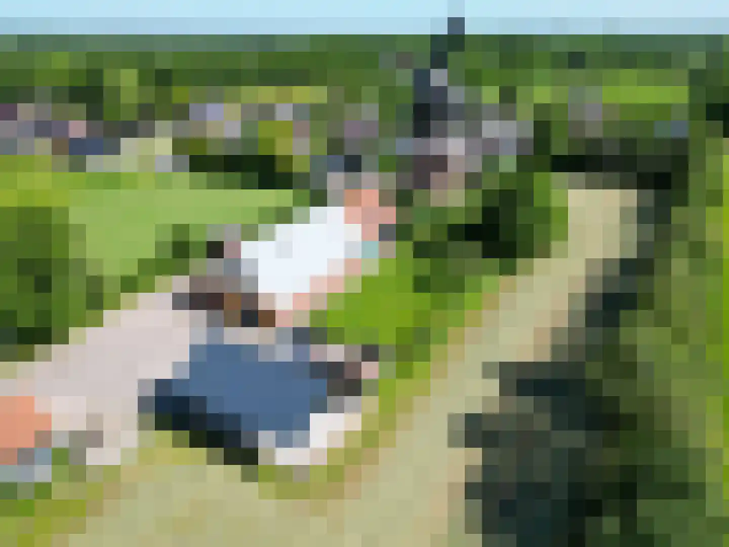 Molenweg 64 Niebert thumbnail 85