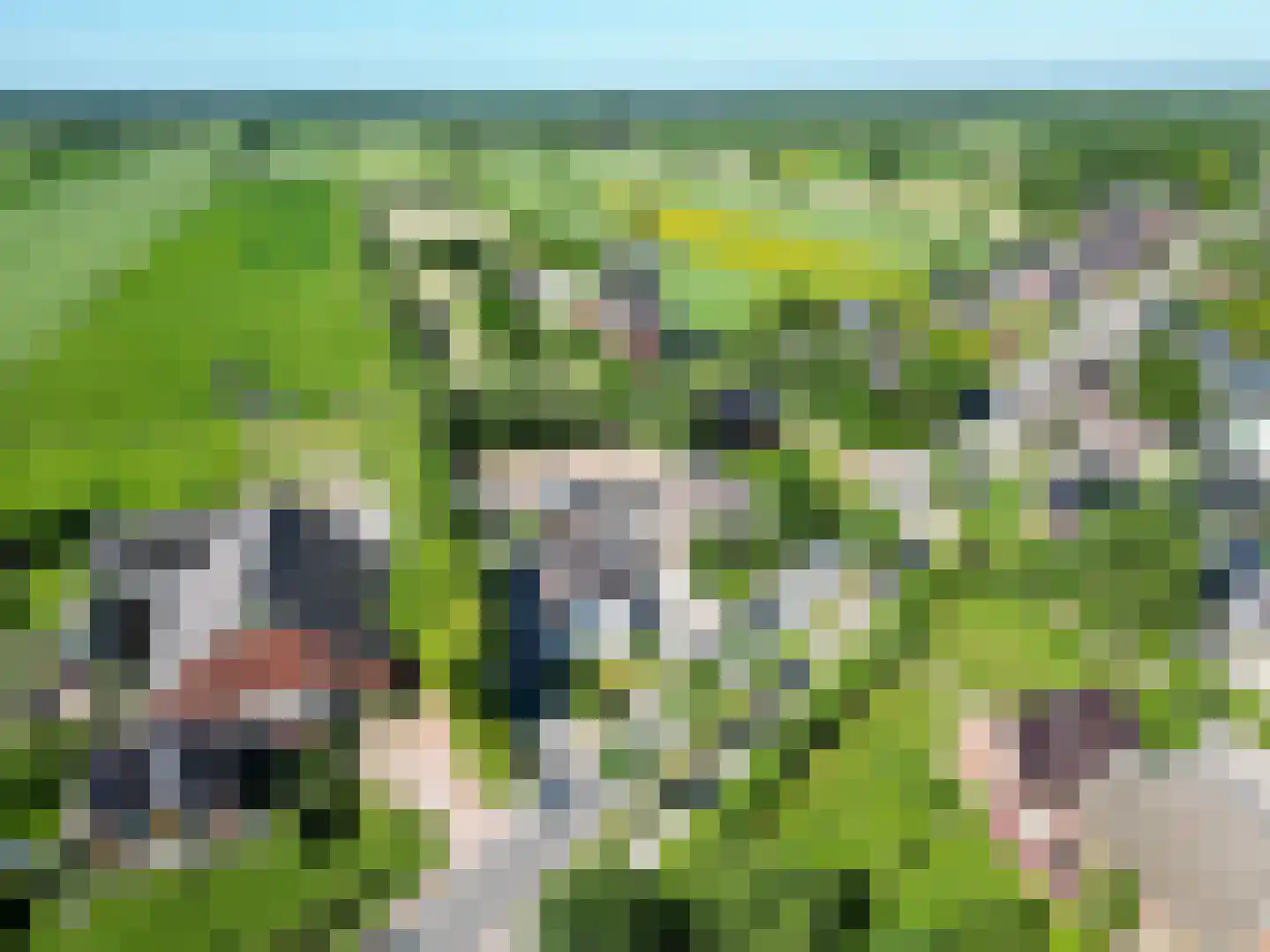 Molenweg 64 Niebert thumbnail 86