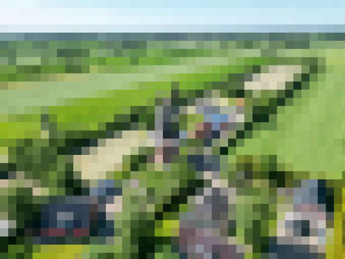 Molenweg 64 Niebert thumbnail 87
