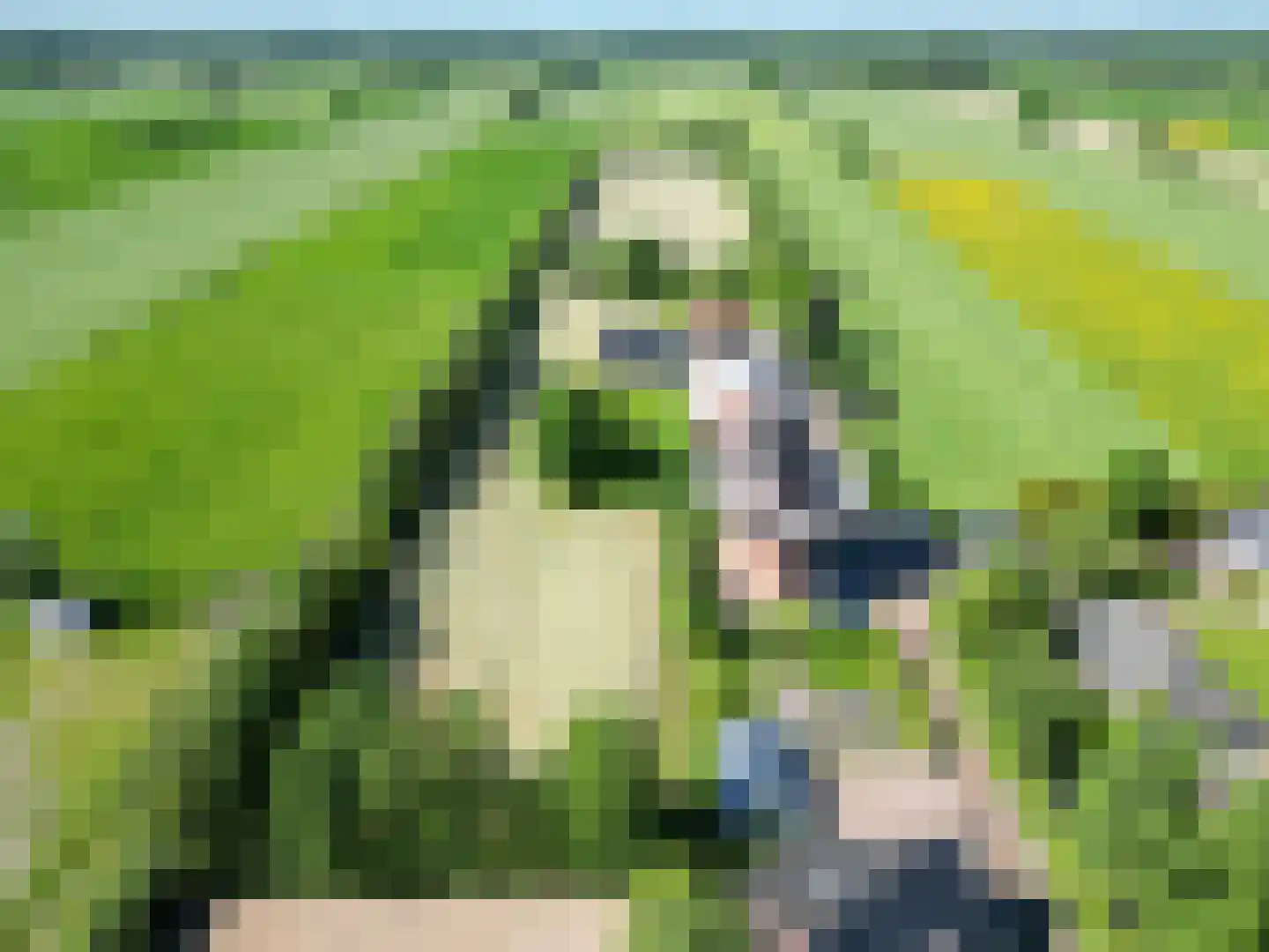 Molenweg 64 Niebert thumbnail 88