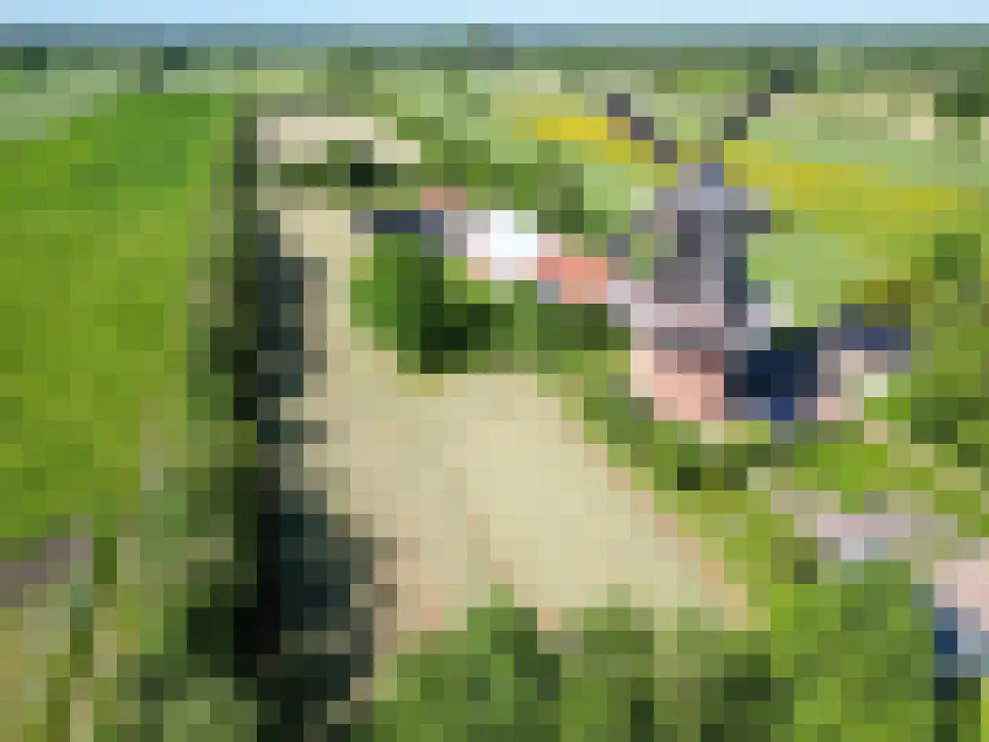 Molenweg 64 Niebert thumbnail 89