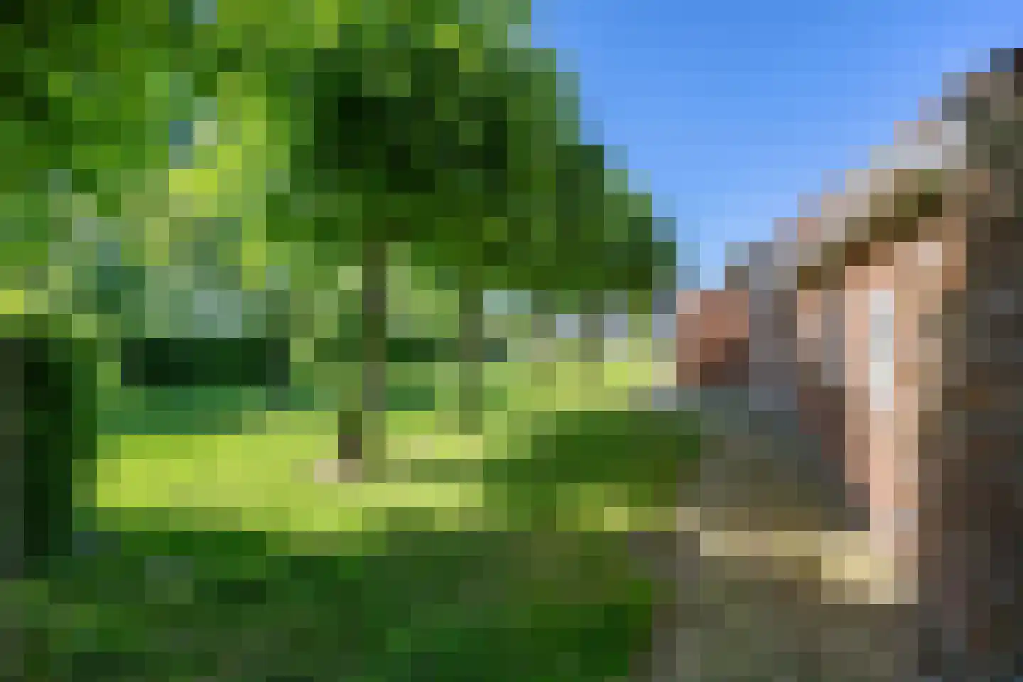 Molenweg 64 Niebert thumbnail 92
