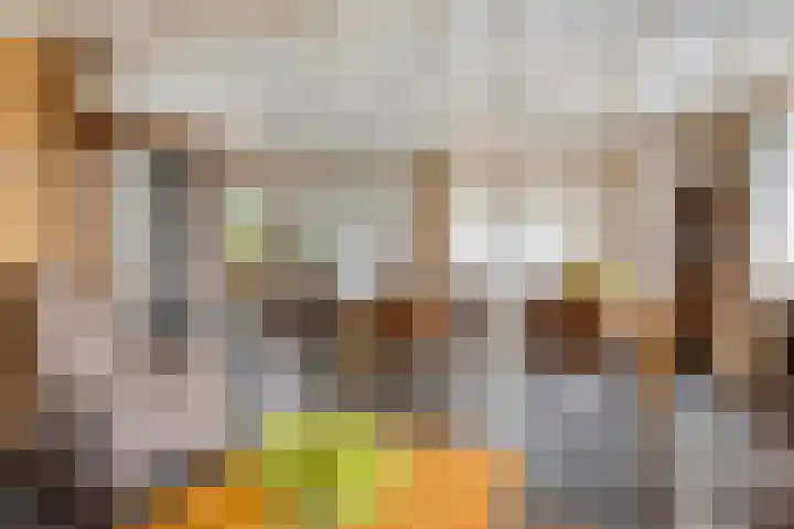 Molenweg 65 Berghem thumbnail 15