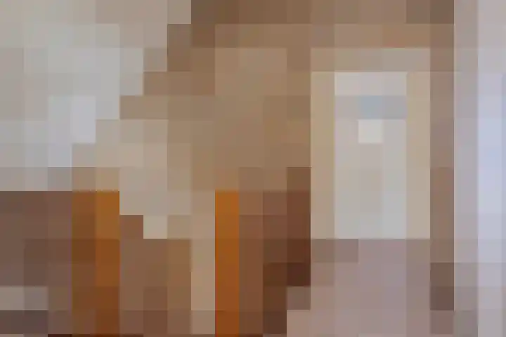 Molenweg 65 Berghem thumbnail 32