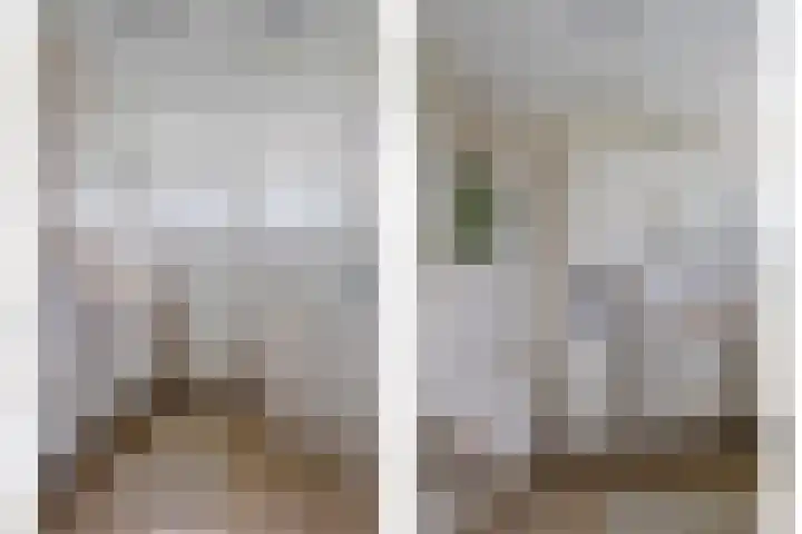 Molenweg 65 Berghem thumbnail 34