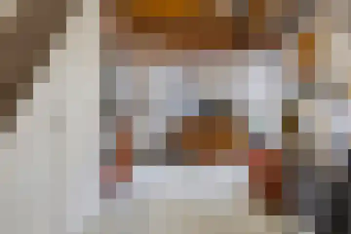 Molenweg 65 Berghem thumbnail 47