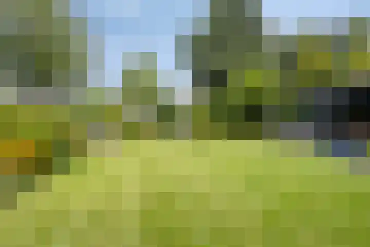 Molenweg 65 Berghem thumbnail 5