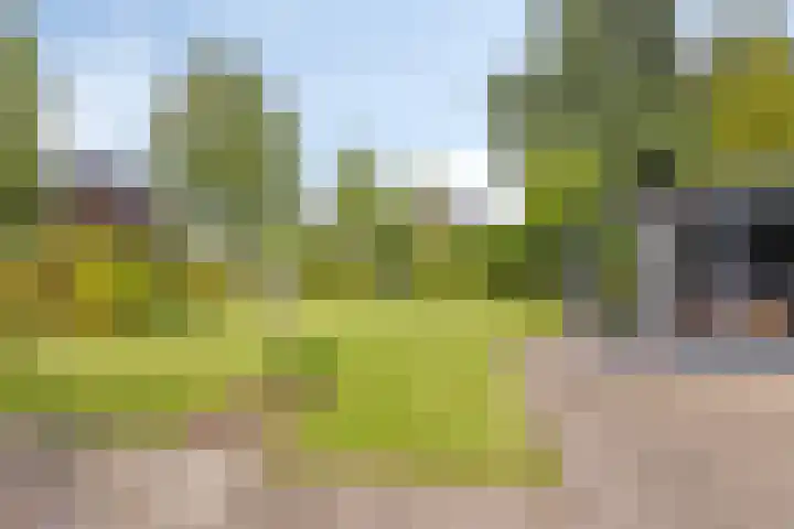 Molenweg 65 Berghem thumbnail 52