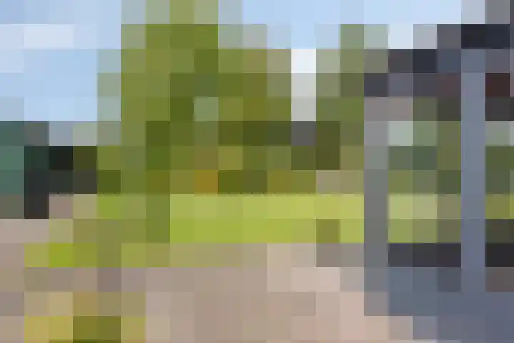 Molenweg 65 Berghem thumbnail 56