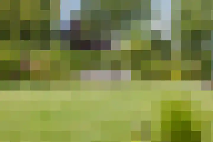 Molenweg 65 Berghem thumbnail 57