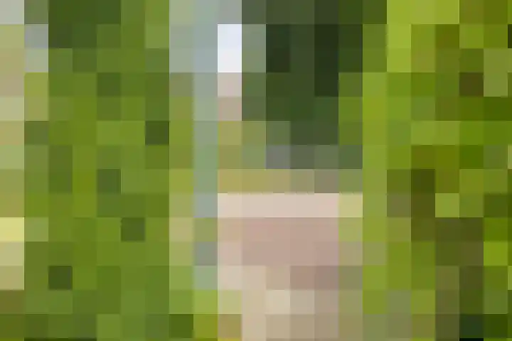 Molenweg 65 Berghem thumbnail 58