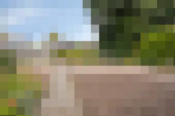 Molenweg 65 Berghem thumbnail 6