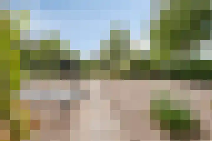 Molenweg 65 Berghem thumbnail 60