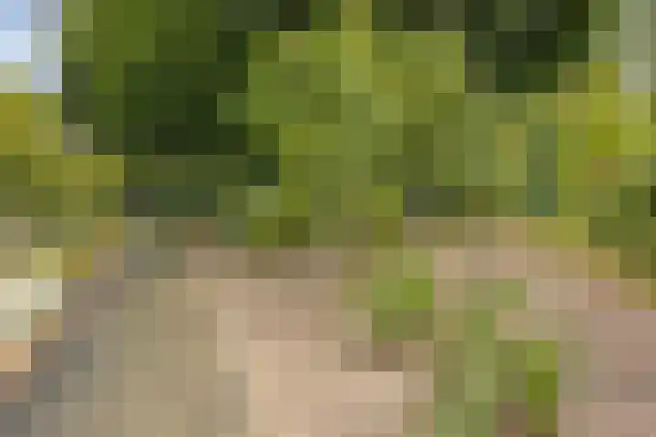 Molenweg 65 Berghem thumbnail 61