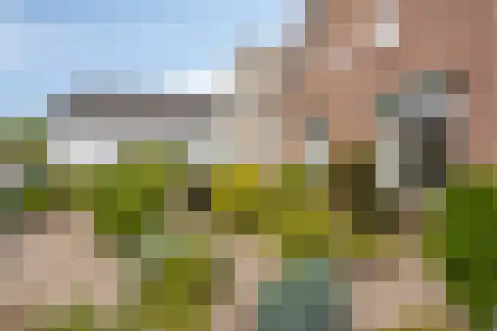 Molenweg 65 Berghem thumbnail 65