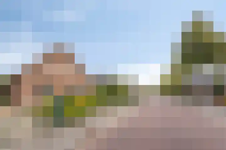 Molenweg 65 Berghem thumbnail 7