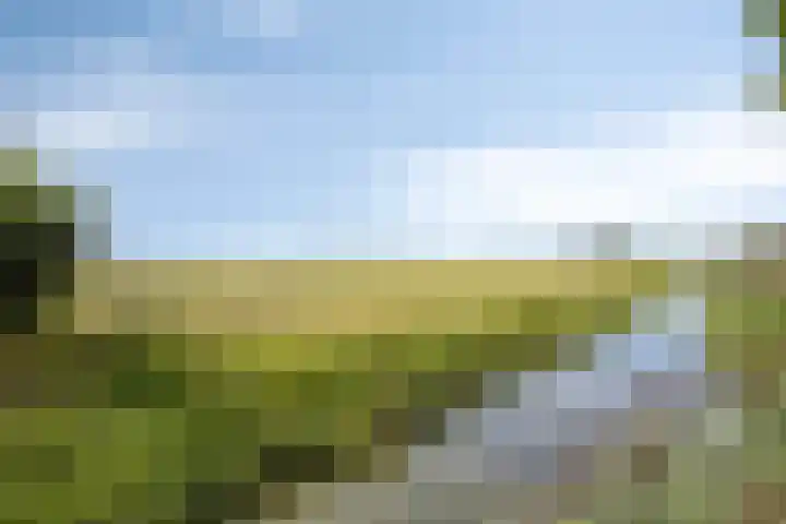 Molenweg 65 Berghem thumbnail 74