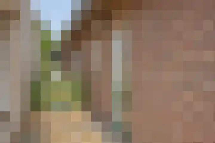 Molenweg 65 Berghem thumbnail 9