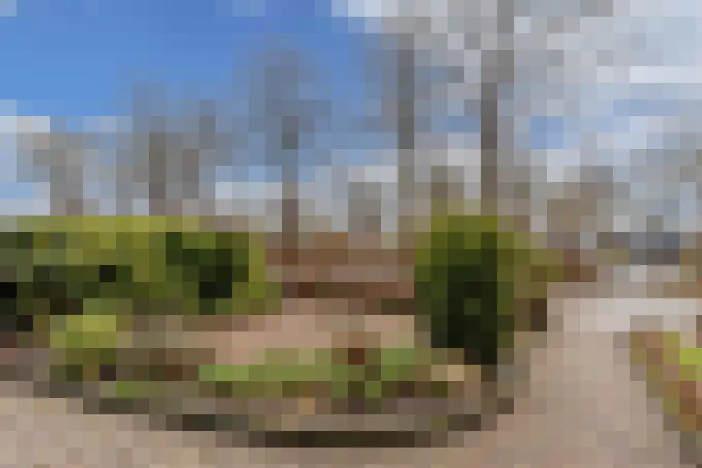 Molenweg 65 Surhuisterveen thumbnail 8