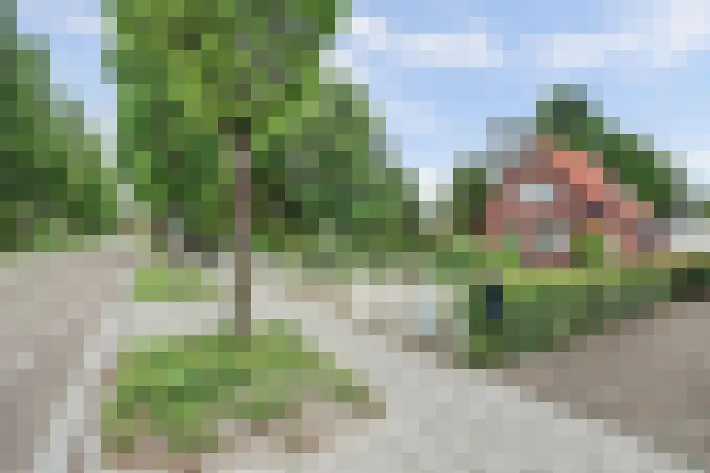 Molenweg 67 Oosterland thumbnail 24