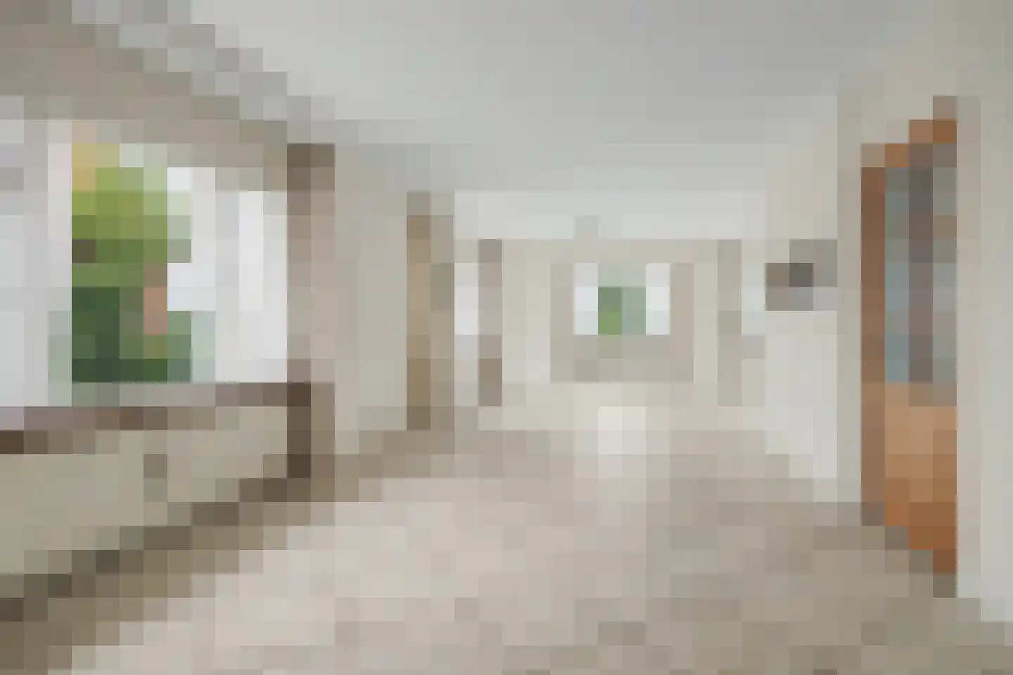 Molenweg 67 Oosterland thumbnail 4