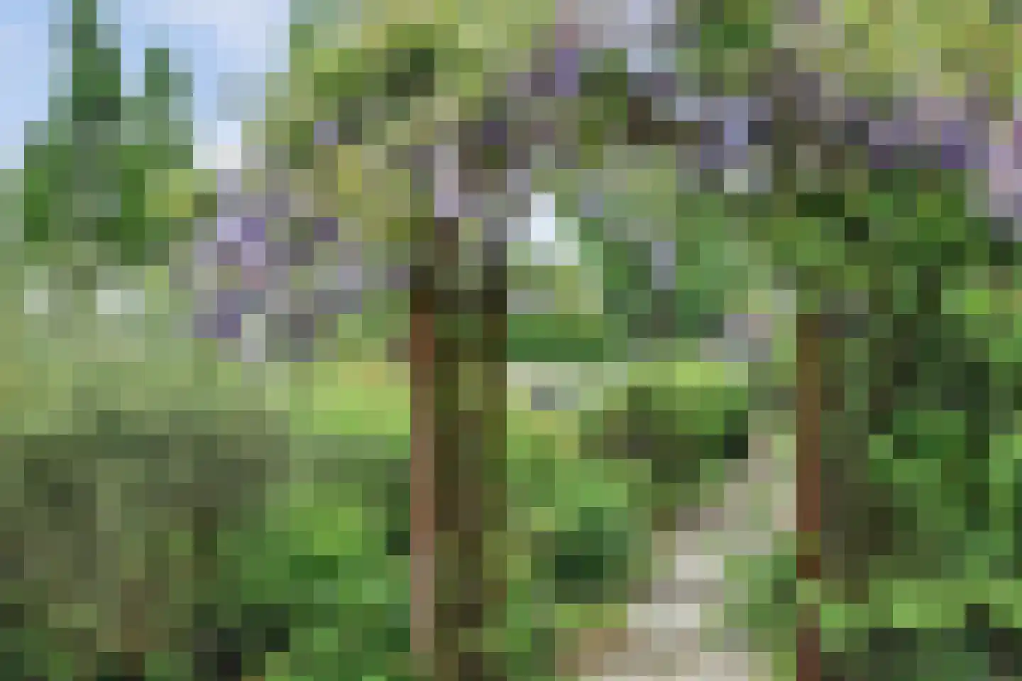 Molenweg 67 Oosterland thumbnail 43