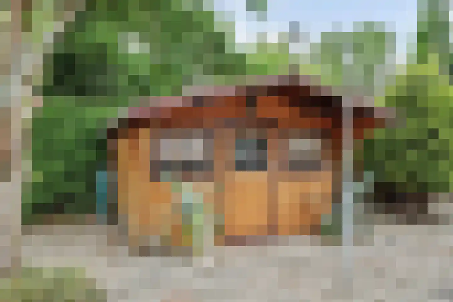 Molenweg 67 Oosterland thumbnail 47