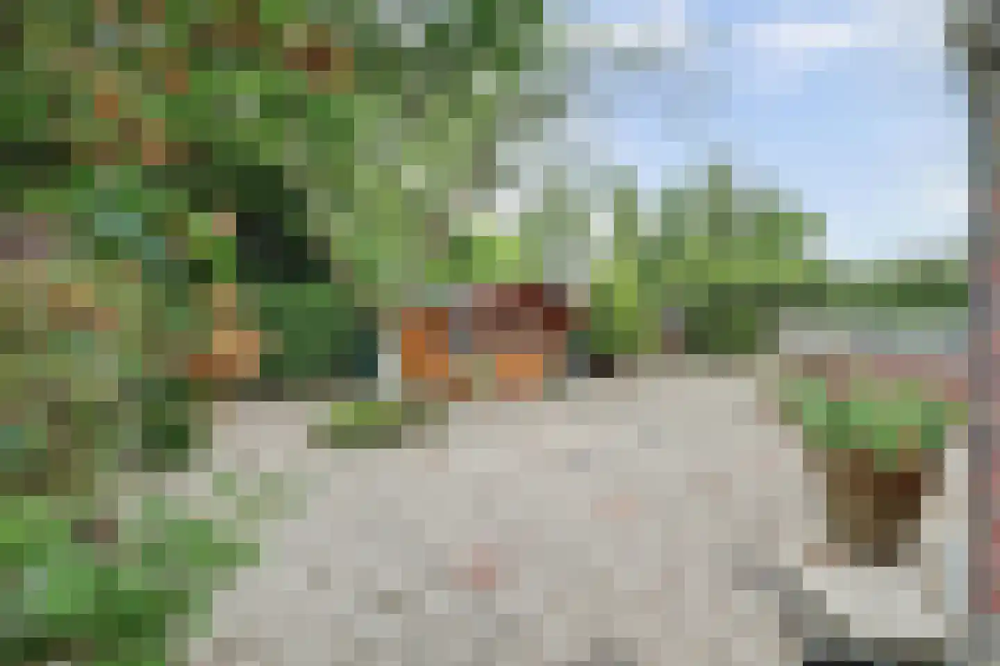 Molenweg 67 Oosterland thumbnail 48