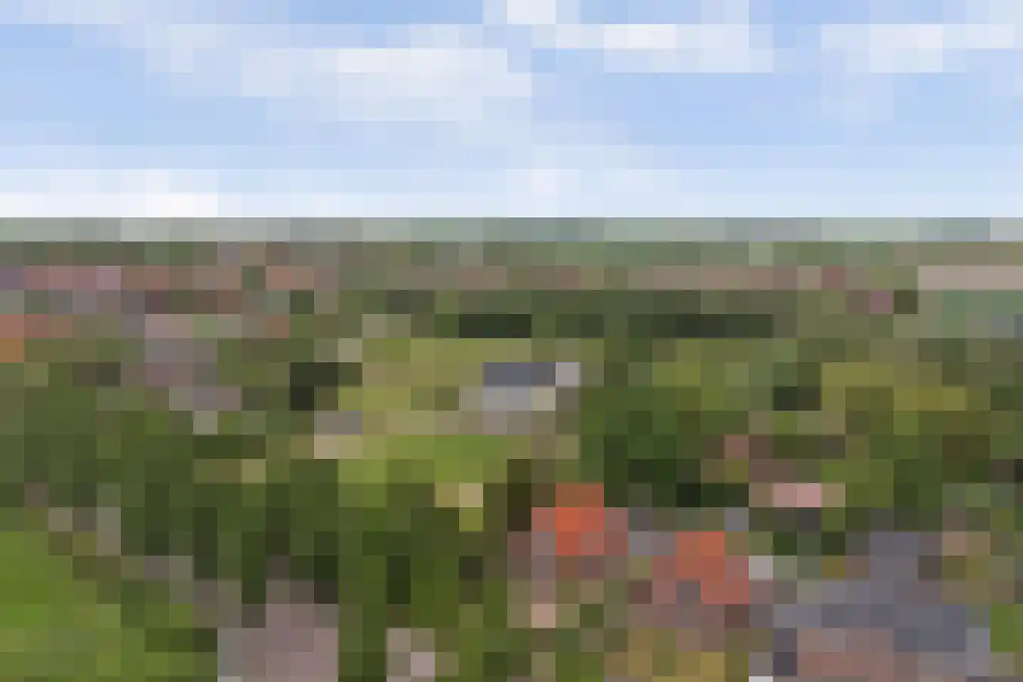 Molenweg 67 Oosterland thumbnail 60