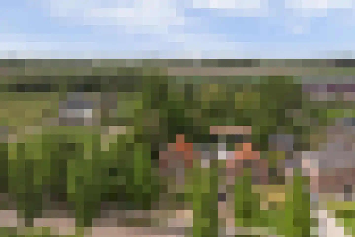 Molenweg 67 Oosterland thumbnail 61