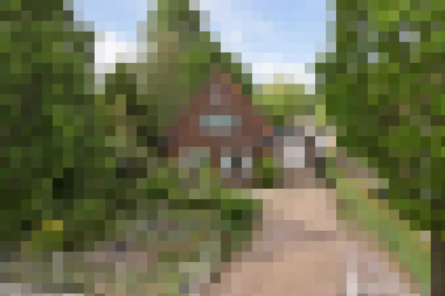 Molenweg 67 Oosterland thumbnail 62