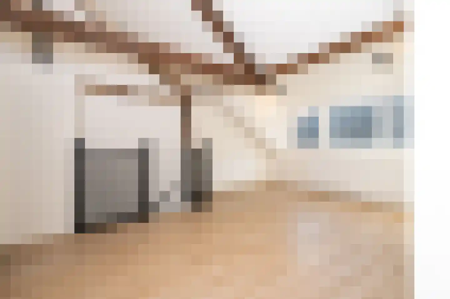 Molenweg 68 Zwolle thumbnail 33
