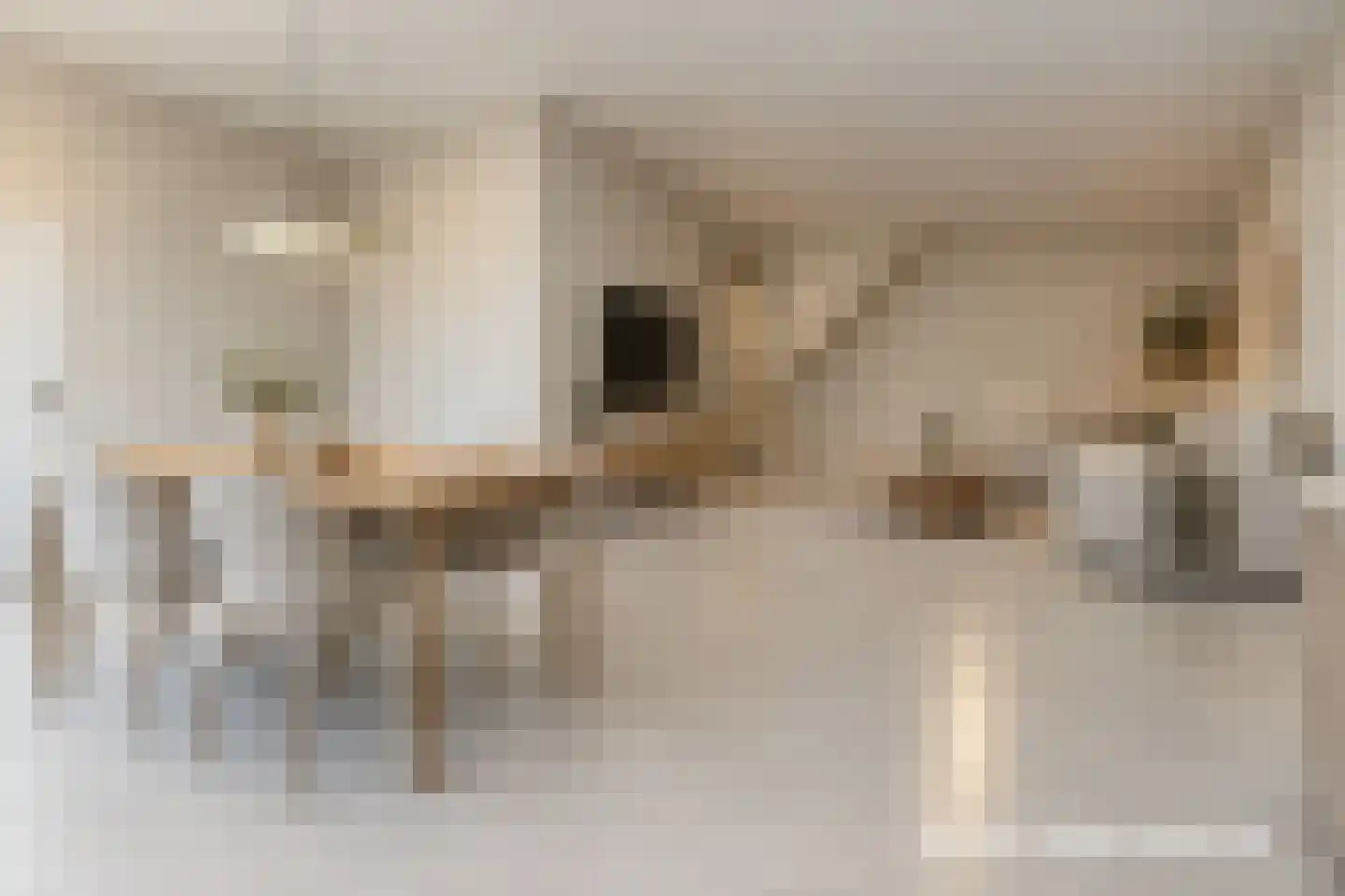 Molenweg 68 Zwolle thumbnail 8