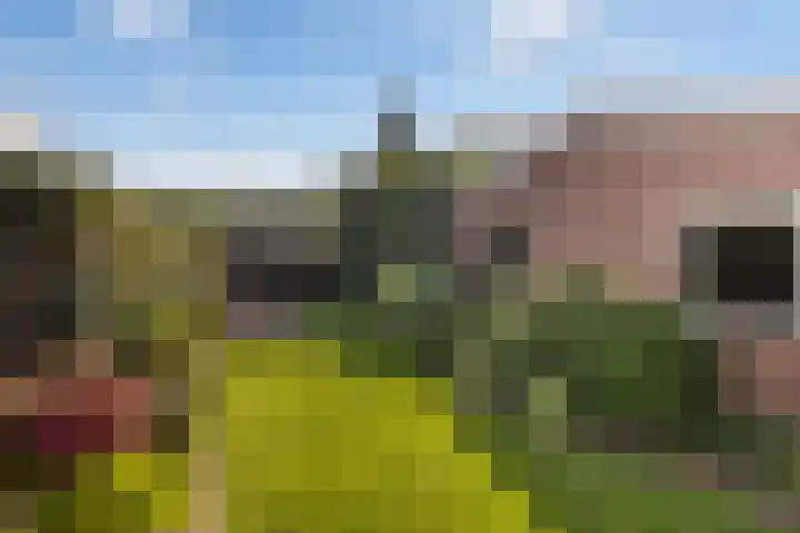 Molenweg 7 A Harskamp thumbnail 23