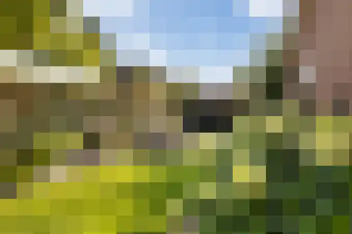 Molenweg 7 A Harskamp thumbnail 24