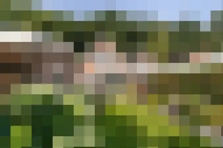 Molenweg 7 A Harskamp thumbnail 26