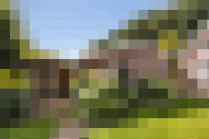 Molenweg 7 A Harskamp thumbnail 27